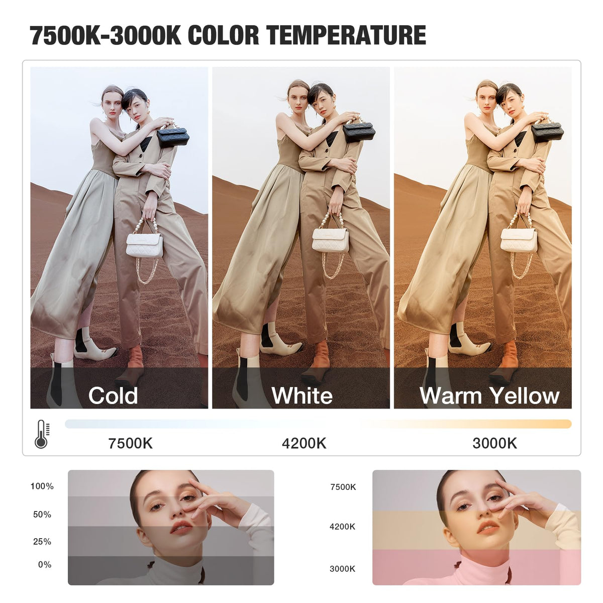 BEIYANG Softbox Lighting Kit, 2x20''x28'' Photography Soft Box with 2 pcs 6000K E27 LED Socket LED Bulbs, Studio Lights for Photography/Video Recording/Live Streaming
