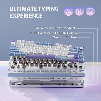 RK ROYAL KLUDGE R75 Mechanical Keyboard Wired with Volume Knob, 75% Custom Gaming Keyboard Gasket Mount RGB Backlit with Software, Cherry Profile, Hot Swappable Silver Switch, PBT Keycaps
