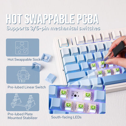 EPOMAKER x Aula F75 Gasket Mechanical Keyboard, 75% Wireless Hot Swappable Gaming Keyboard with Five-Layer Padding&Knob, BT/2.4GHz/USB-C, RGB (Blue Gradient, LEOBOG Reaper Switch)