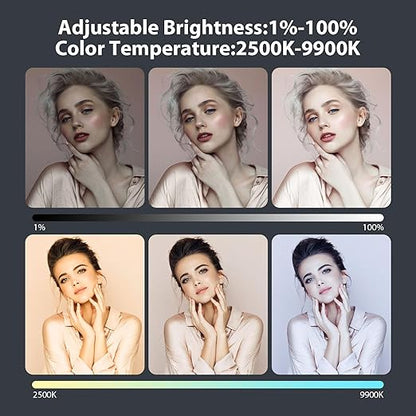 ENEGON 4000mAh Rechargeable Mountable Bicolor LED Video Light with Mini Panel for Professional DSLR Cameras | Photo Video Lighting Long Battery Life | Fits for iPhone Sony Canon Nikon Fuji Panasonic