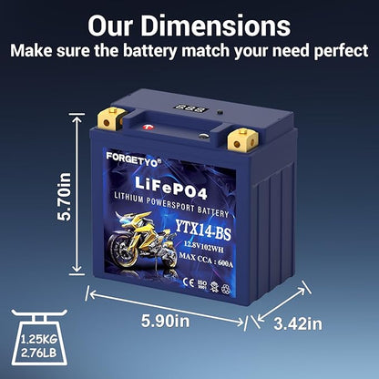 YTX14-BS Lithium Motorcycle Battery, ATV Battery 12V 8AH 600CCA Compatible with Yamaha Scooter Snowmobile Jet Ski, Scooter, PWC & More