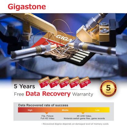 【5-Years Data Recovery】 GIGASTONE 256GB Micro SD Card, 4K Camera Pro, A2 V30 for Smartphone, Gopro, Action Cams, 4K UHD Video, Nintendo-Switch Compatible, Up to 100MB/s, UHS-I U3 C10 with Adapter