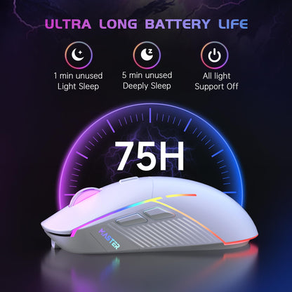 FFJ Wireless Gaming Mouse, 24000 DPI, Gaming Mice for PC, White