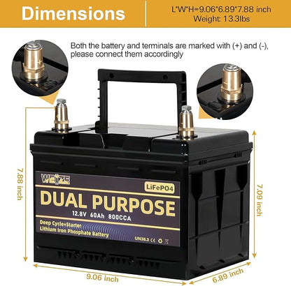 WEIZE 12V 60AH Dual Purpose LiFePO4 Lithium Battery, 800CCA Group 24 Group 34 Starting Battery Plus Deep Cycle Performance, Built-in Smart BMS, Perfect for Automotive, Trolling Motor, Marine, RV