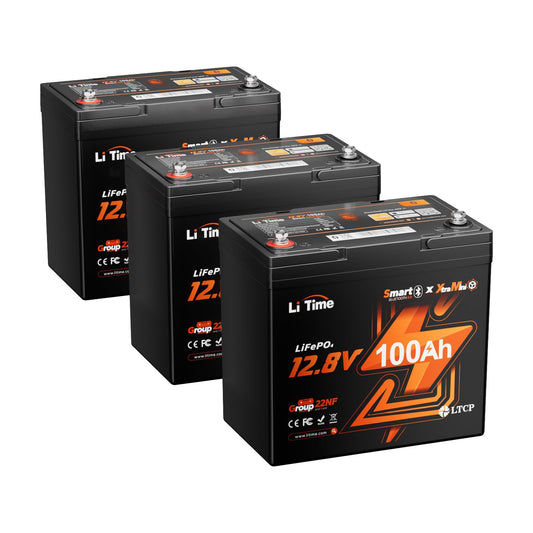 Litime 4 Packs 12V 100Ah Xtra Mini LiFePO4 Battery for RV, Camper, Boat