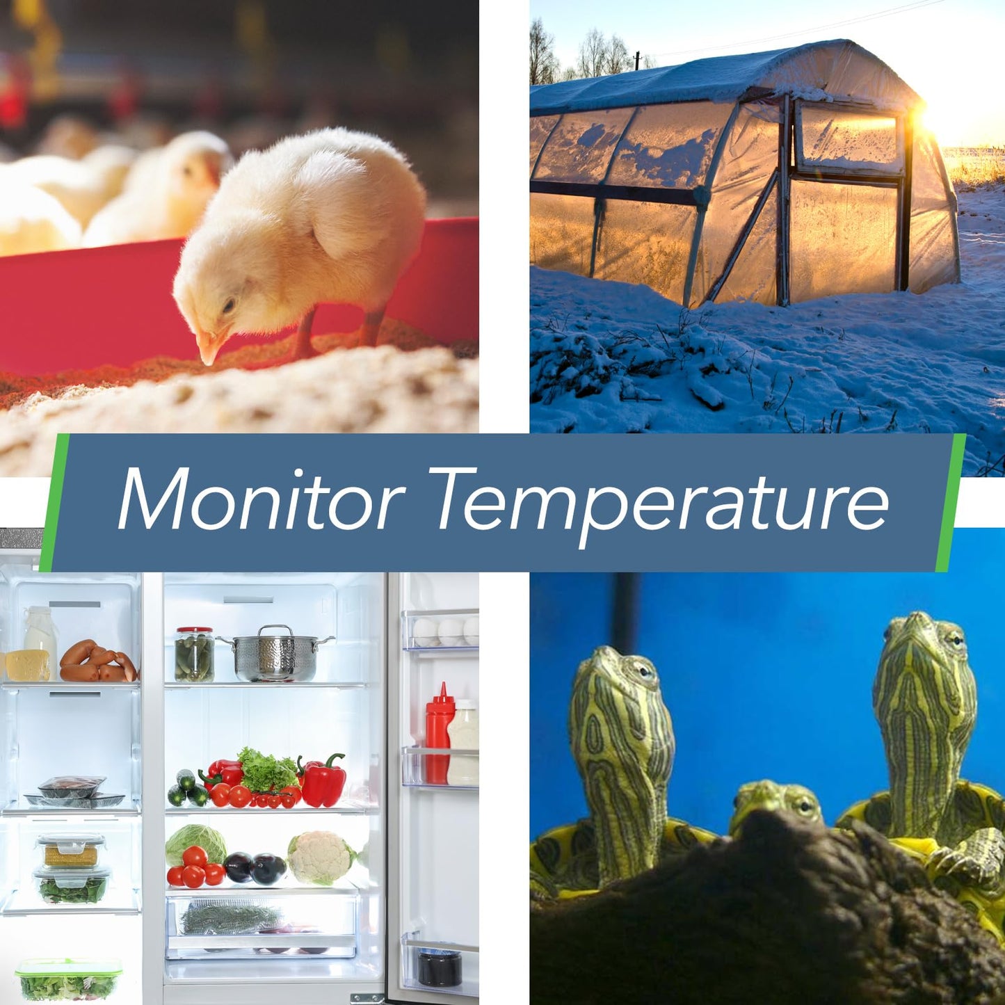 SensorPush HT.w Smart Temperature Sensor & Humidity Sensor - Thermometer & Hygrometer w/App Monitoring - Water Resistant Temperature and Humidity Monitor w/Heat Index for RV, Fridge & More