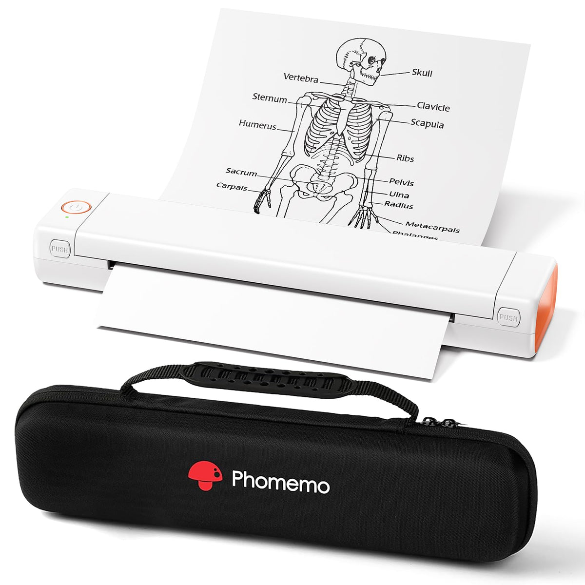 Phomemo Portable Printers Wireless for Travel, M08F Thermal Bluetooth Printer Support for 8.5"x11" US Letter, Small Inkless Printer Compatible with iOS, Android, Laptop for Car, Office, Home