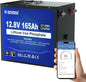 DC HOUSE 12V 165Ah LiFePO4 Lithium Battery, Bluetooth & Low Temp Protection, Safer Metal Case, 12V Lithium Battery up to 15000 Cycles, 120A BMS, Perfect for Trolling Motors, Marine, Boat, Solar