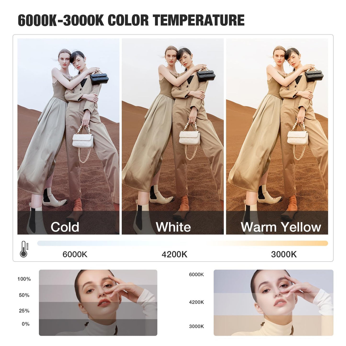 BEIYANG Softbox Lighting Kit, 2x20''x28'' Photography Soft Box with 2 pcs 6000K E27 LED Socket LED Bulbs, Studio Lights for Photography/Video Recording/Live Streaming