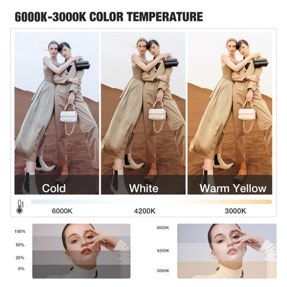 BEIYANG Softbox Lighting Kit, 2x20''x28'' Photography Soft Box with 2 pcs 6000K E27 LED Socket LED Bulbs, Studio Lights for Photography/Video Recording/Live Streaming