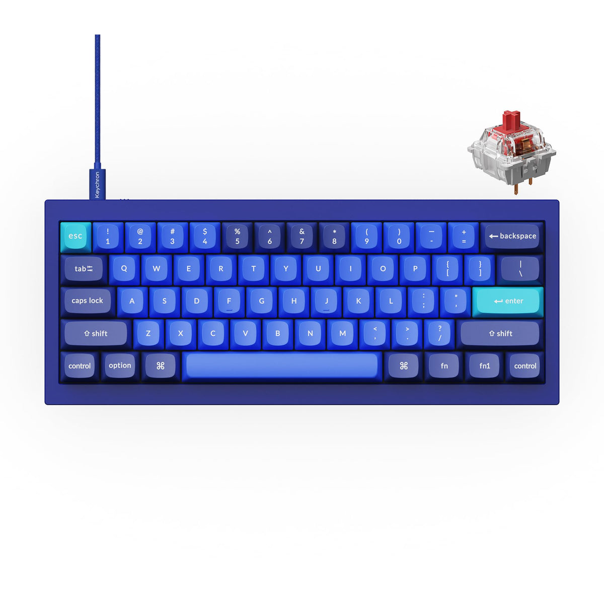 Keychron Q4 Wired Custom Mechanical Keyboard, 60% Layout QMK/VIA Programmable Macro with Hot-swappable Gateron G Pro Brown Switch Double Gasket Compatible with Mac Windows Linux(Navy Blue)