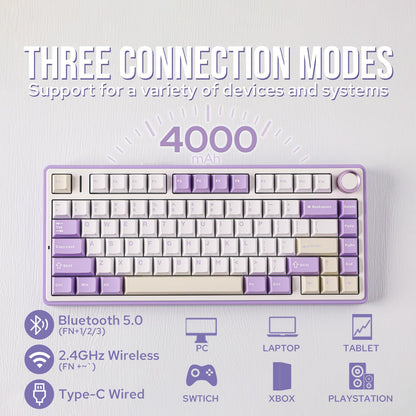EPOMAKER x Aula F75 Gasket Mechanical Keyboard, 75% Wireless Hot Swappable Gaming Keyboard with Five-Layer Padding&Knob, BT/2.4GHz/USB-C, RGB (Purple, LEOBOG Reaper Switch)