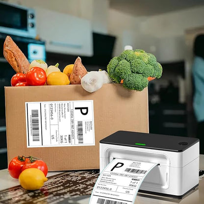 4”×6" Thermal Labels, FungLam 4”×6” Thermal Shipping Labels, Address Mailing Labels, Compatible with Rollo, Munbyn, Zebra,iDPRT Thermal Printers, 250 Labels/Roll