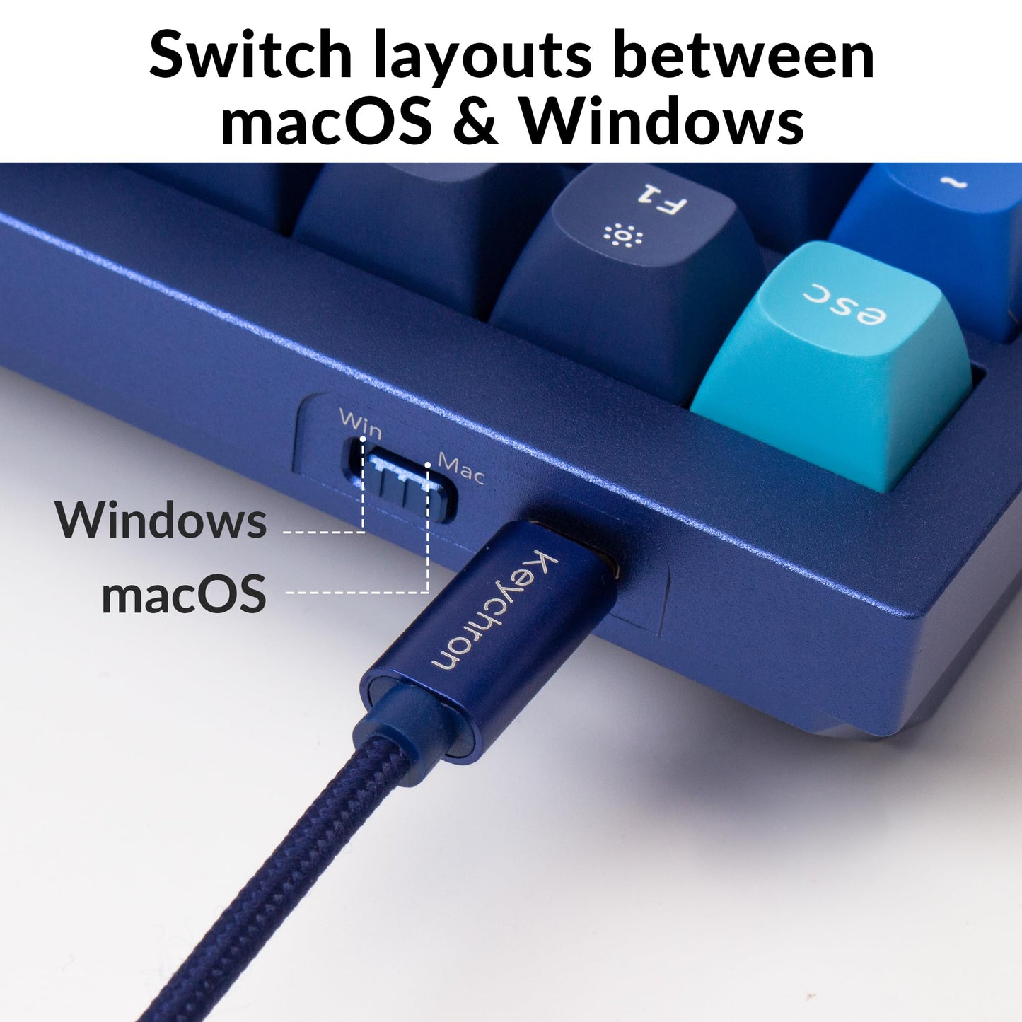 Keychron Q5 Wired Custom Mechanical Keyboard Knob Version, 96% Layout QMK/VIA Programmable Macro with Hot-swappable Gateron G Pro Red Switch Double Gasket Compatible with Mac Windows Linux (Blue)