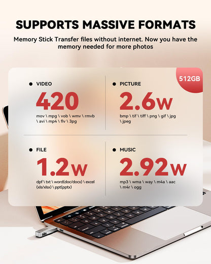 BLANBOK+ MFi Certified 512GB Flash Drive for iPhone Photo Stick, USB Thumb Drive Memory Stick High Speed USB Drive Photo Storage for iPhone USB Stick Compatible for iPhone/iPad/Android/PC, BLA233