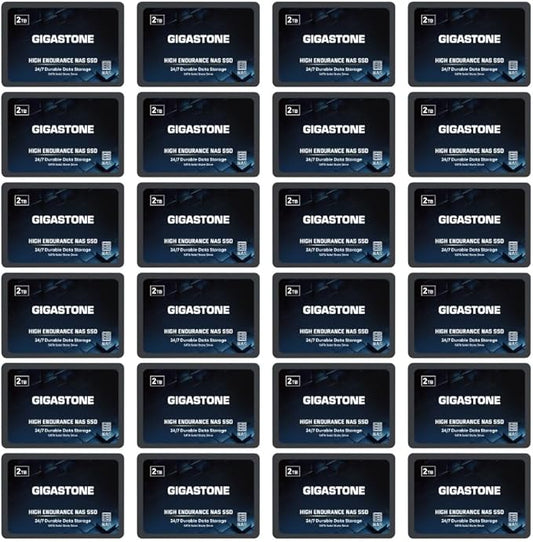 Gigastone 【NAS Certified】 2TB High Endurance SSD (24-Pack) for Gaming/PC/Laptop/NAS SSD TLC 24/7 Reliable 2.5" SATA Internal Solid State Drives RAID Data Storage 2.5 inches SATA 3.0