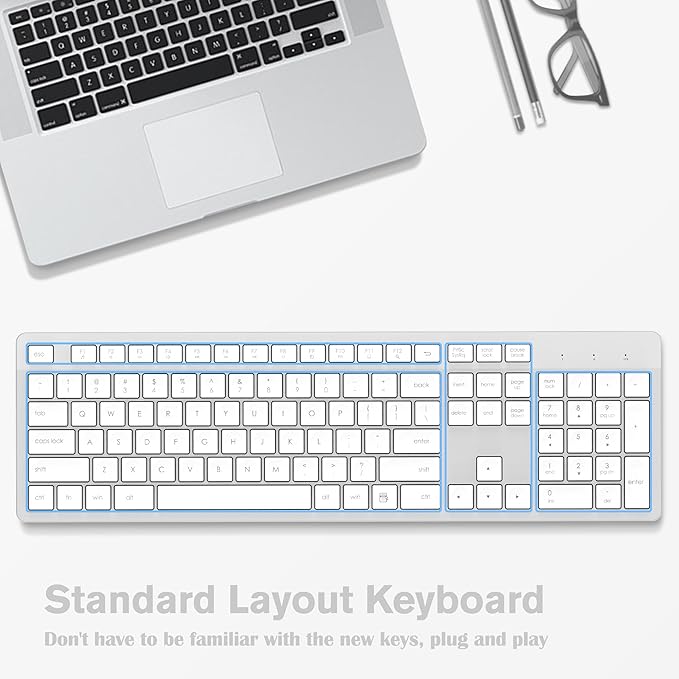 LeadsaiL Wireless Keyboard, 2.4GHz Full-Sized Ergonomic Computer Keyboard, Cordless Noiseless Keyboard,12 FN Shortcuts for Windows MacOS Laptop Computer - White and Grey