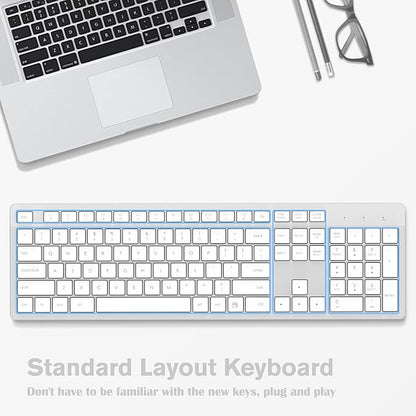 LeadsaiL Wireless Keyboard, 2.4GHz Full-Sized Ergonomic Computer Keyboard, Cordless Noiseless Keyboard,12 FN Shortcuts for Windows MacOS Laptop Computer - White and Grey