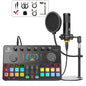 M100 2‑Person Podcast Equipment Bundle,48V XLR Dual Condenser Mics