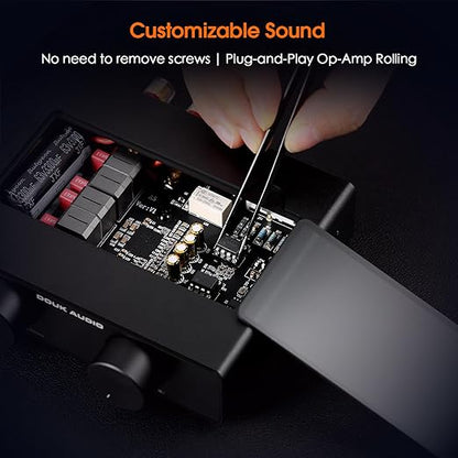 Douk Audio A5 2 Channel TPA3255 Stereo Amp, 300 Watts x2 Mini Hi-Fi Audio Power Amplifier Class D for Home Theater System, Passive Bookshelf Tower Speakers with High-Pass Filter + 48V Power Supply
