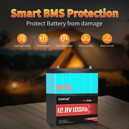 2 Packs 12V 100Ah LiFePO4 Lithium Battery, Built in 100A BMS, 1280W Power Output, Up To 6000+ Cycles, Ideal For RV, Solar Off-Grid Systems, Home Energy Storage