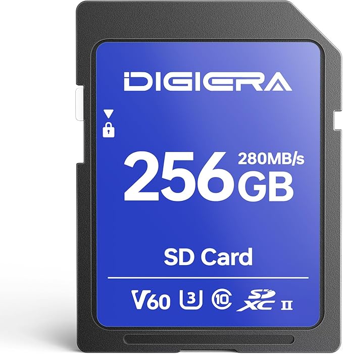 256GB LSU100 SDXC UHS-II Memory Card - up to 280MB/s, C10, U3, V60, 6K, SD Card for Computers, Digital Cameras, Home Theatre Devices, Car Navigation Systems (1 Pack)