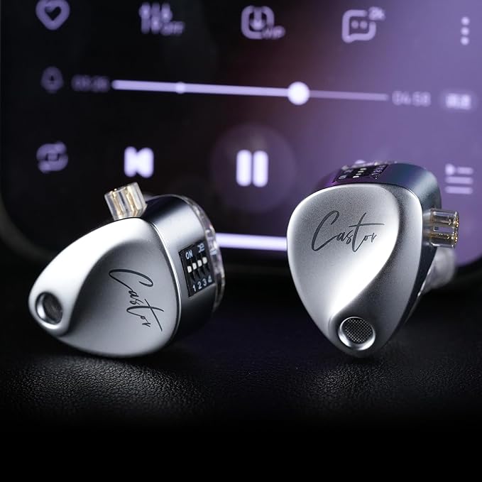 KZ Castor in-Ear Monitor Dual-Dynamic Drivers Headphones with 4 Tuning Switches HiFi Noise Cancelling Earphones, Clarity Stereo Sound Earbuds for Audio Engineers, Musicians(Silver, with Mic)