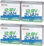 Redodo 12V 20Ah LiFePO4 Battery, 4000+ Deep Cycles Lithium Battery with 20A BMS, 256Wh Energy, Perfect for Kayak Finshfinder, Ice Fishing, GPS, Camping, 4 Pack