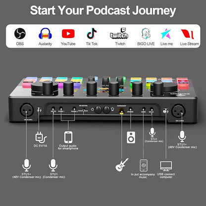 Podcast Equipment Bundle for 2 with Dual 48V XLR Condenser Micophones with Mic Pop Filters Audio Equipment for Live Streaming/ Recording, Online Gaming for Phone/ Laptop/ PC Audio Interface M100