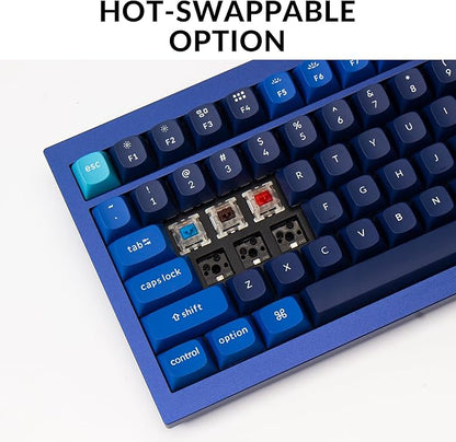 Keychron Q5 Wired Custom Mechanical Keyboard Knob Version, 96% Layout QMK/VIA Programmable Macro with Hot-swappable Gateron G Pro Red Switch Double Gasket Compatible with Mac Windows Linux (Blue)