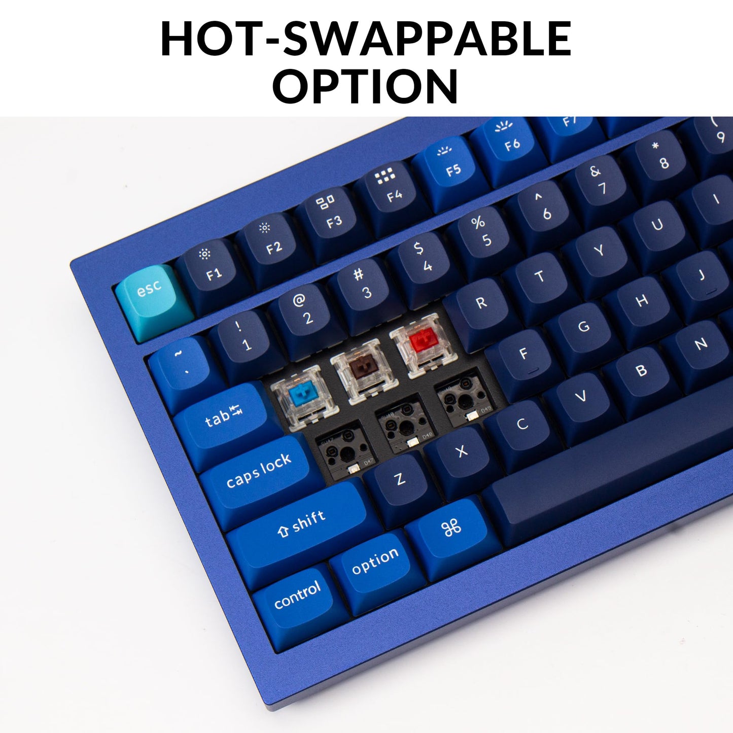 Keychron Q5 Wired Custom Mechanical Keyboard Knob Version, 96% Layout QMK/VIA Programmable Macro with Hot-swappable Gateron G Pro Red Switch Double Gasket Compatible with Mac Windows Linux (Blue)