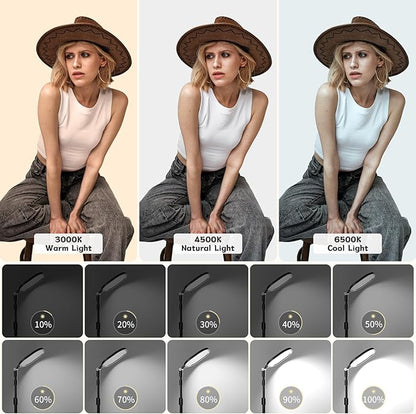 2 Packs Video Conference Lighting Kits, Dimmable Desk Ring Light with Stand and Phone Holder, Computer Laptop Light for Zoom Meeting, Video Calls, Live Streaming, Podcasting, Video Recoring