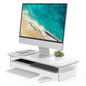 Fenge 42.5" Dual Monitor Stand with Clear Acrylic Legs, Black