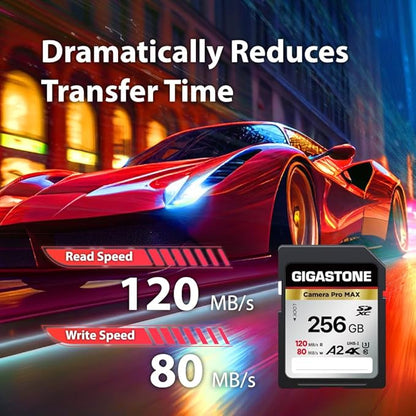 [5-Yrs Free Data Recovery] GIGASTONE 256GB 2-Pack SD Card, 4K Camera Pro MAX, A2 4K SDXC Memory Card High Speed 4K UHD Video Compatible with Canon Kodak Digital Camera, with 2 Mini case