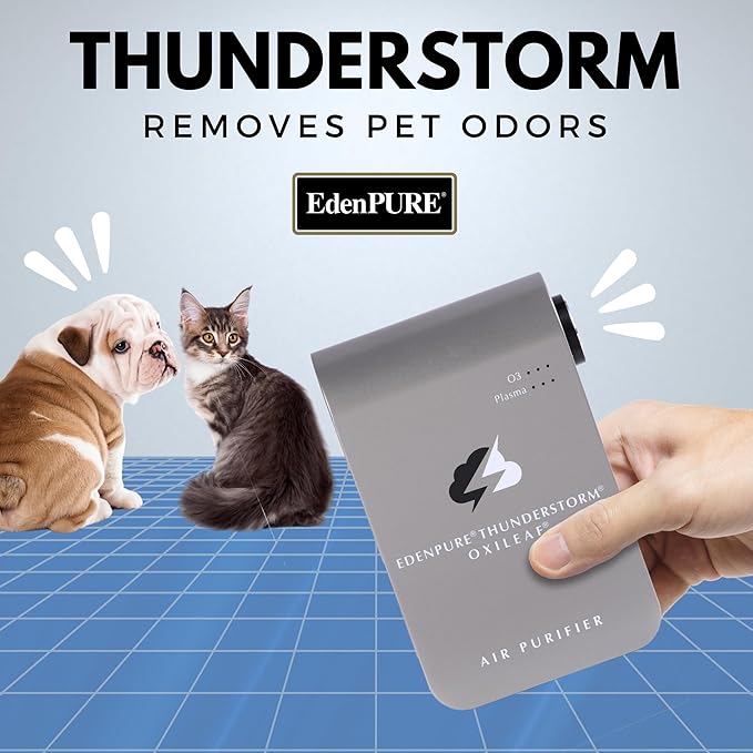 EdenPURE Thunderstorm III Air Purifier Plug In Air Ionizer Ozone Generator