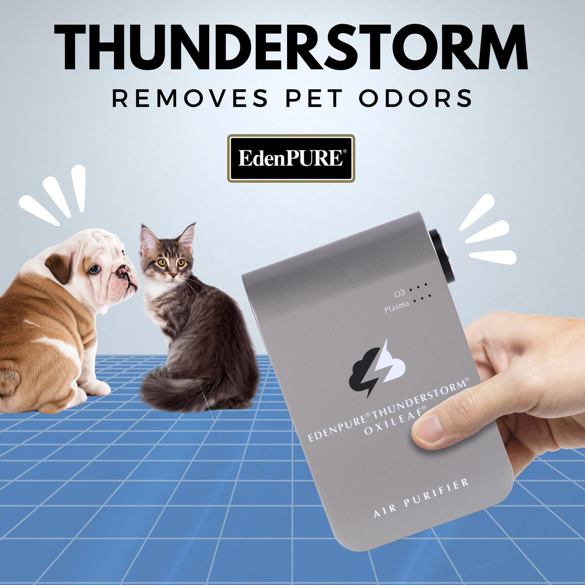 EdenPURE® Thunderstorm® Oxileaf® III Air Purifier Odor Remover with Plasma and Ozone Settings, Small, Grey