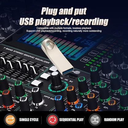 GF12 Multifunction 12 Channel Audio Mixer Stage Performance Mixer Isolated Independent Mute Built-in 7 Level Equalizer and 99 Reverb DJ Mixer for Stage Performance/Karaoke/DJ Music