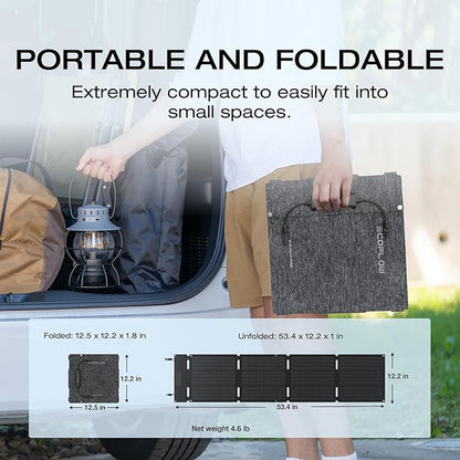 EF ECOFLOW Portable Power Station RIVER 2 with 60W Solar Panel, 256Wh LiFePO4 Battery/ 1 Hour Fast Charging, Up to 600W Output, Solar Generator for Outdoor Camping/RVs/Home Use