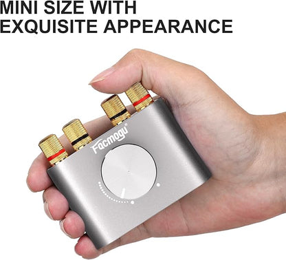 Facmogu F900S 160W Bluetooth 5.0 Mini Amplifier, 80Wx2 2.0CH Audio Power Amplifier, Hi-Fi Stereo Sound Digital Amp Wireless Speaker Amp Receiver w/AUX/USB/BT Input & 12V 5A Power Adapter - Silver