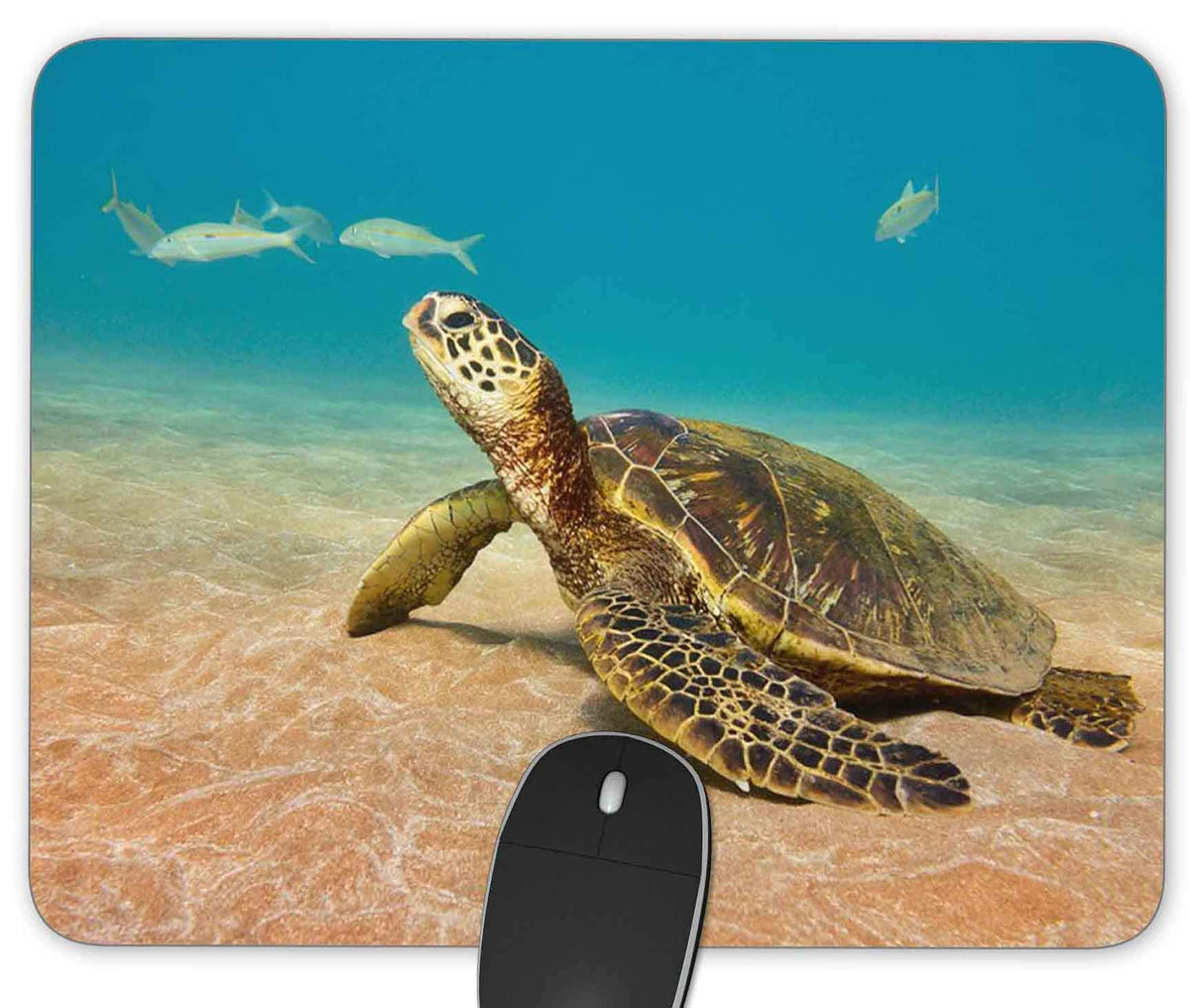 Bright Succulent Cactus Rectangle Gaming Mouse Pad Size(9.84"x7.87")