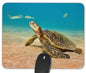 Bright Succulent Cactus Rectangle Gaming Mouse Pad Size(9.84"x7.87")