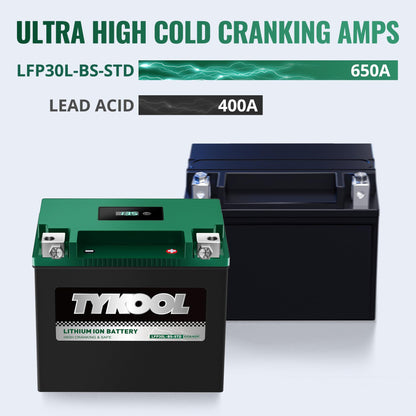 TYKOOL LFP30L-BS-STD Lithium Battery, Replaces YTX30L-BS, 650CCA 12Ah Fits for Motorcycle UTV ATV PWC, Compatible with Harley Touring Road King Moto Guzzi 1000cc Polaris Ranger RZR 800,Digital Readout