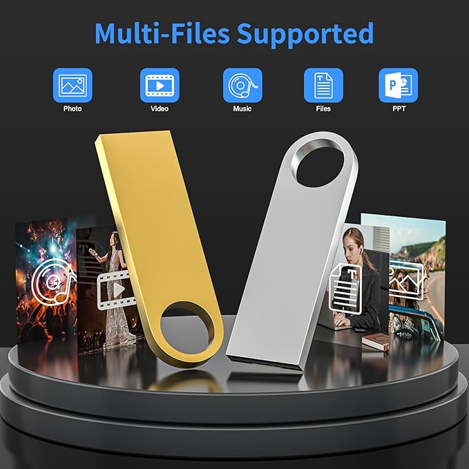 4GB USB Flash Drive 2 Pack with Keychains, Wooolken Sleek Metal USB 2.0 Thumb Drives Memory Stick for PC Laptop Computer