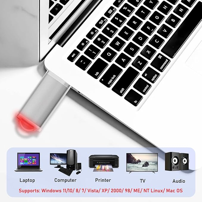 USB Thumb Drive 2GB Flash Drives 20 Pack, Nicepicten Memorias USB 2.0 Memory Stick Fat Flash Zip Drive 2 GB Jump Drives Multipack Pendrive with Landards and Lables (Sliver 2GB, 20 Pieces)