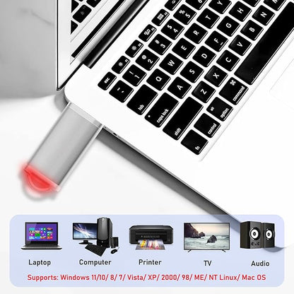1GB USB Flash Drives 20 Pack, Memorias USB Thumb Drive 2.0 Memory Stick Fat Zip Drive 1 GB Jump Drives Multipack Pendrive with Landards and Lables (Sliver, 1Count 20 Packs)