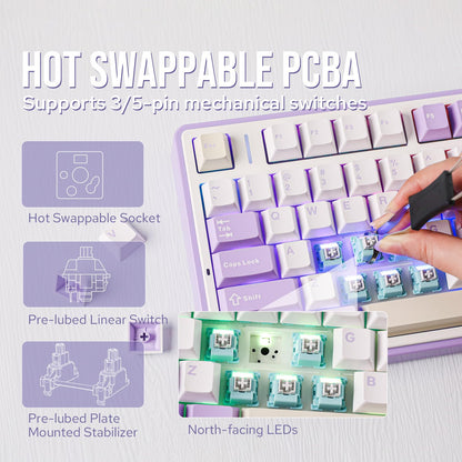 EPOMAKER x Aula F75 Gasket Mechanical Keyboard, 75% Wireless Hot Swappable Gaming Keyboard with Five-Layer Padding&Knob, BT/2.4GHz/USB-C, RGB (Purple, LEOBOG Reaper Switch)