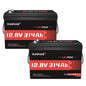 12V 600Ah LiFePO4 Lithium Battery Built-in 200A BMS
