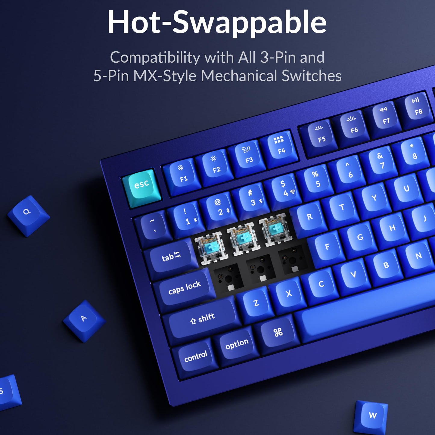 Keychron Q1 RGB Wired Custom Mechanical Keyboard, 75% Layout QMK/VIA Programmable Macro with Hot-swappable Gateron G Pro Blue Switch Double Gasket Compatible with Mac Windows Linux (Blue) -Version 2