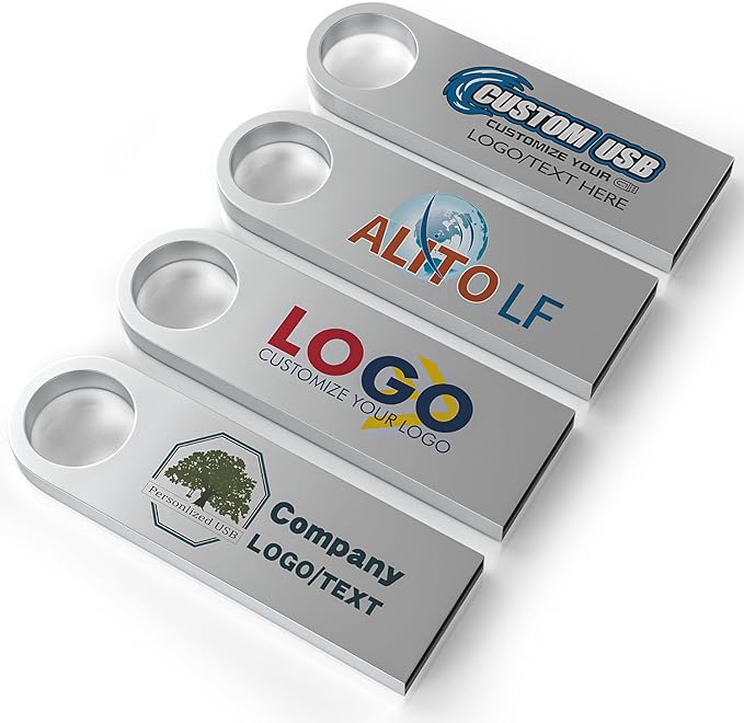 ABLAZE Custom Flash Drive 64GB 10 Pack, Personalized USB with Your Logo Metal Thumb Drives USB 2.0 Memory Stick Pendrive (Sliver)