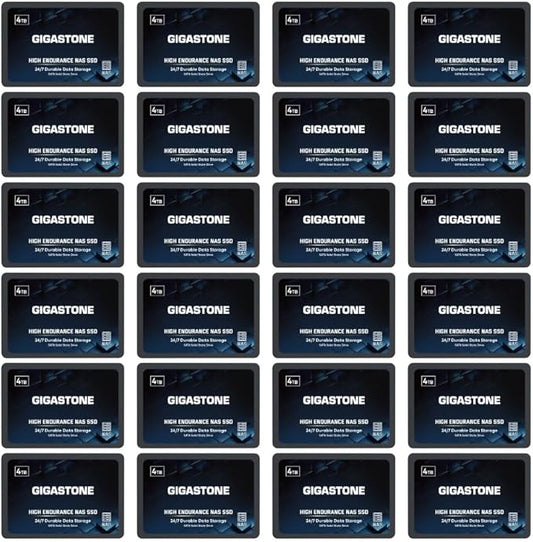 Gigastone 【NAS Certified】 4TB High Endurance SSD (24-Pack) for Gaming/PC/Laptop/NAS SSD 24/7 Reliable 2.5" SATA Internal Solid State Drives RAID Data Storage 2.5 inches SATA 3.0